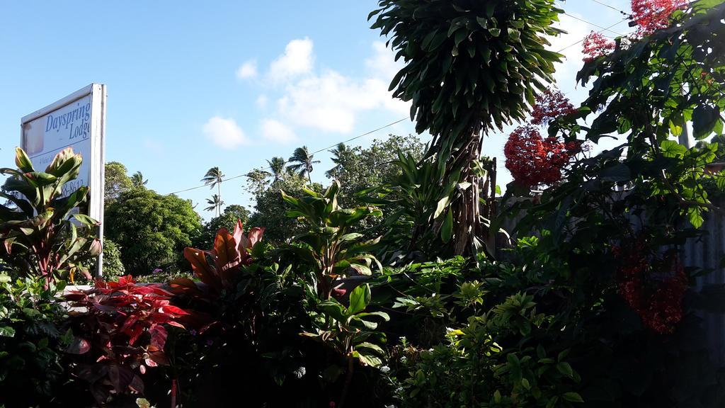 Dayspring Lodge Нукуалофа Экстерьер фото